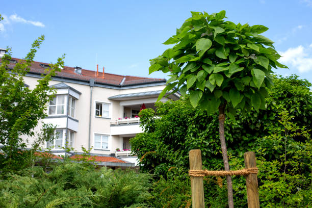 istock young tree fixed with rope in the garden 1403140358