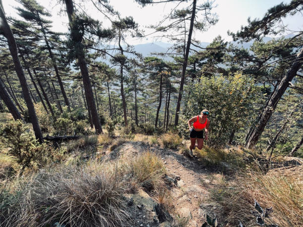 istock Young woman hikes up arid mountain side through forest 1403141038