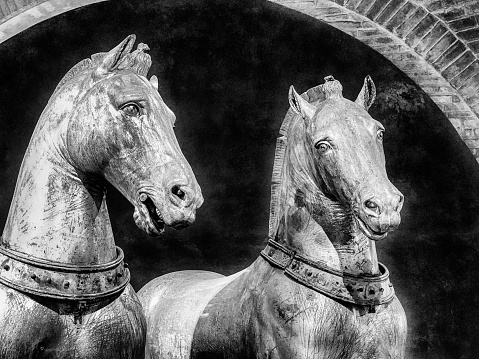 The bronze horses are historic objects in the Basilica de San Marco in Venice. In black and white.