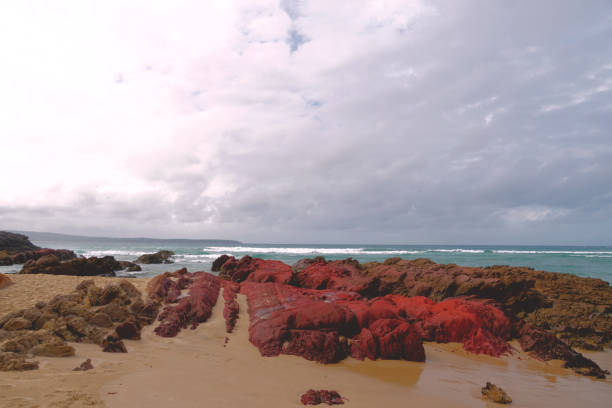 At the headland of the mouth of the Pambula River on the Sapphire Coast