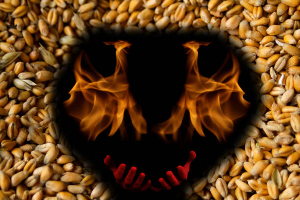 Food crisis. Global and European grain and wheat crisis, Ukraine. Exporters of grain. Devil with flame. Word design. Black background. Oats, barley, rye Food crisis. Global and European grain and wheat crisis, Ukraine. Exporters of grain. Devil with flame. Word design. Black background. Oats, barley, rye. exporters stock pictures, royalty-free photos & images