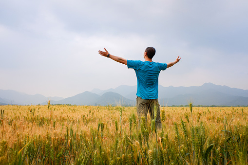 Man standing in wheat field looking away