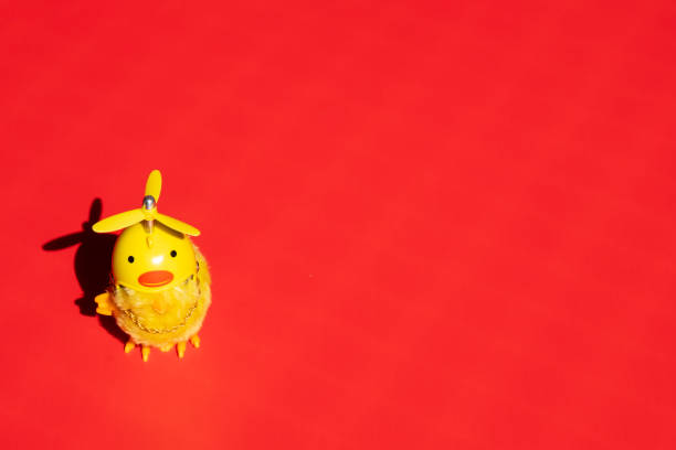 Easter chick has a piece of eggshell on it's head. Shallow DOF. Space for copy.