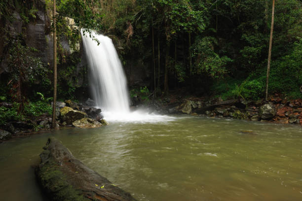 istock Curtis Falls_Tropical Rainforest Waterfall Australia 1403161640