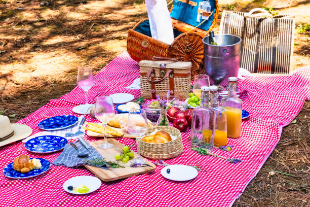 VIEW OF THE PICNIC SERVICE