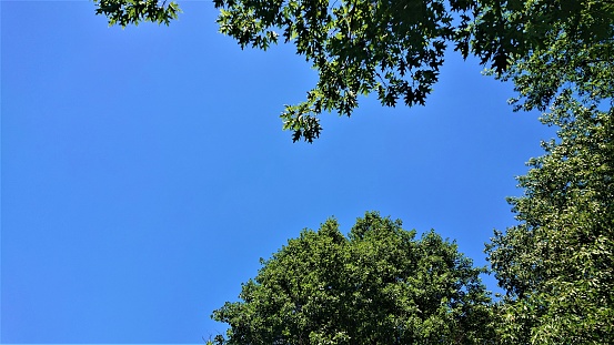 Summer. Blue sky.