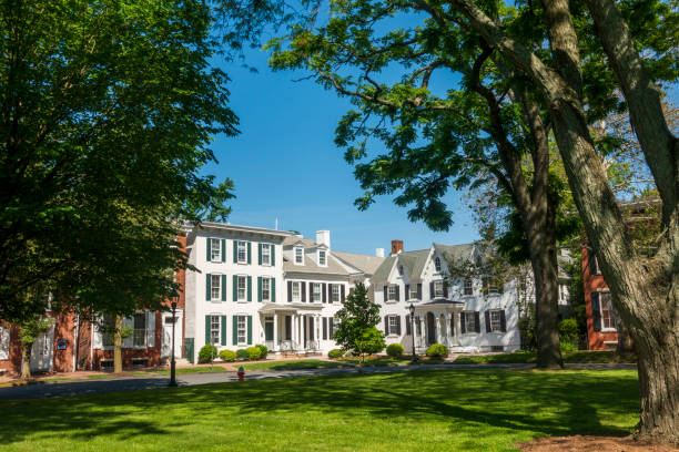 A  view from the back of a large well manicured estate home under clear blue skies in the summer.