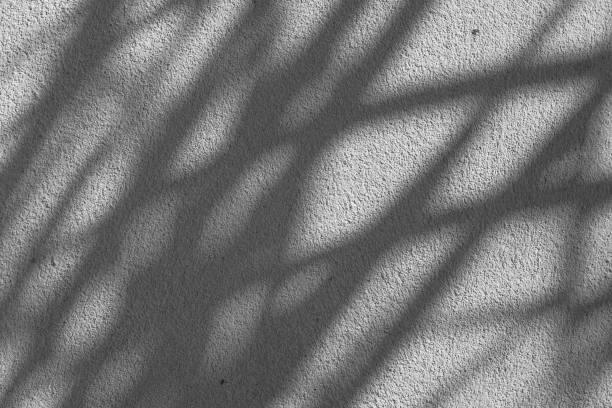 istock Black and White abstract background texture of shadows leaf on a concrete wall. 1403178567
