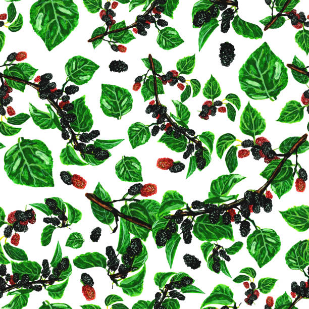Mulberry Tree Pattern 360+ Mulberry Pattern Stock Illustrations, Royalty-Free Vector Graphics ...