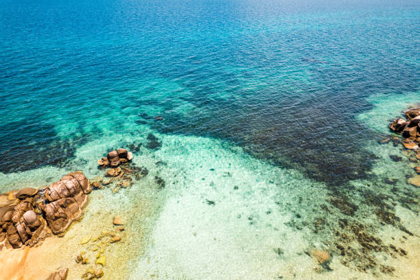 istock Crystal clear blue water at tropical island, bird's eye view 1403182019