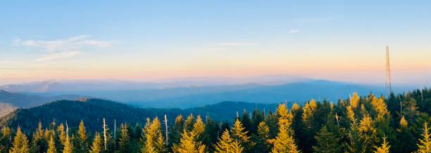 그레이트 안개 자욱한 산맥 - great smoky mountains great smoky mountains national park panoramic sunrise 뉴스 사진 이미지