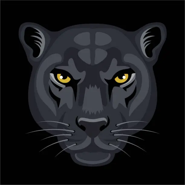 Vector illustration of Black panther head close up. Black Leopard Head Logo. Portrait of a Black Leopard in the wild. Scary looking male.