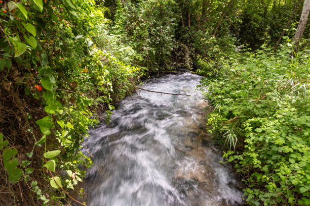 arroyo hermon de flujo rápido en el área del parque nacional en el norte de israel - mountain stream fotografías e imágenes de stock