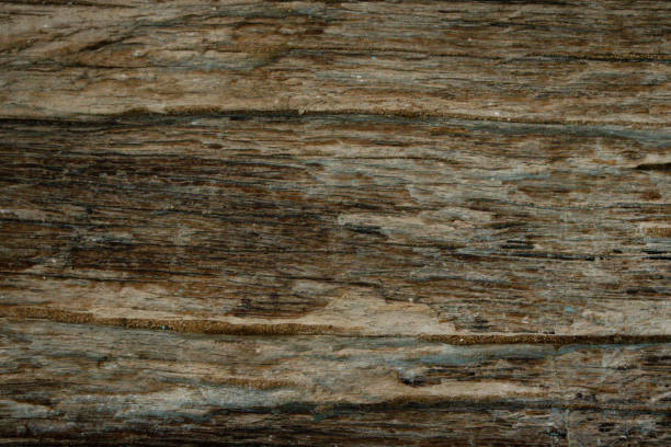 istock Old wooden floor pictures for background 1403194370