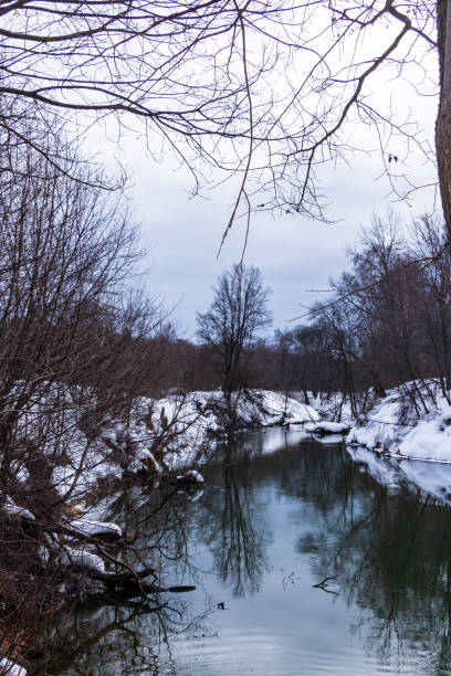 istock forest river with fast flow and small waves flows between snowy shores with trees and bushes late winter and early spring 1403195603