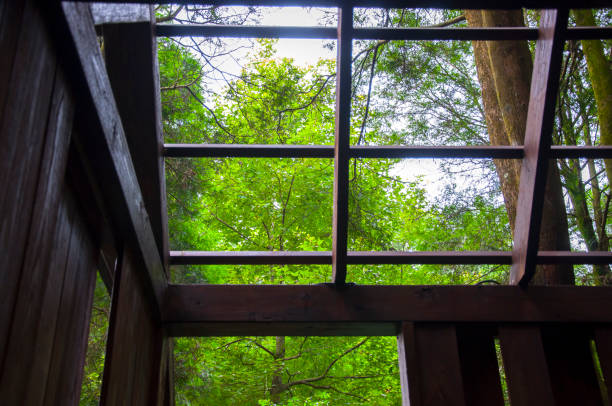 A tree house in a dense forest that offers visitors to view the forest
