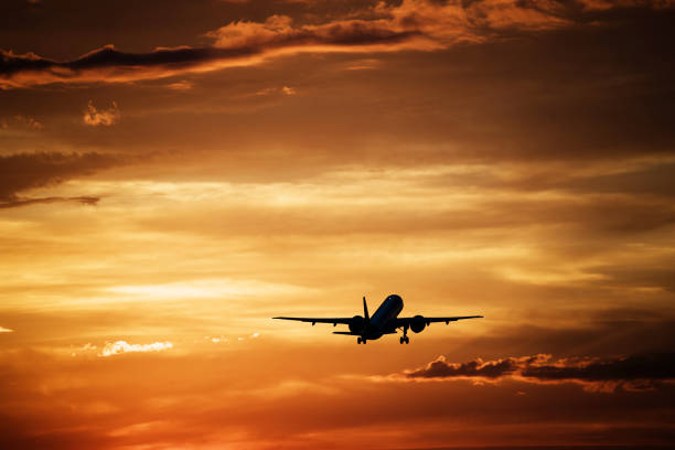 istock Commercial airliner 1403196161