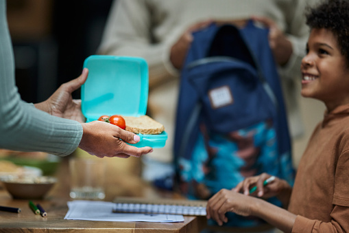 Close up of unrecognizable black mother giving lunch box to her small son before going to school.