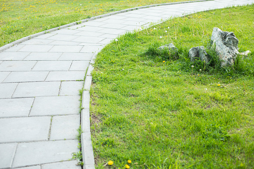 Stone pathway on the green lawn