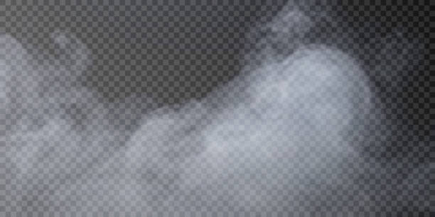 ilustrações de stock, clip art, desenhos animados e ícones de translucent smoke isolated on a transparent background. steam effect special effect. vector texture of steam, fog, cloud, smoke. - fog