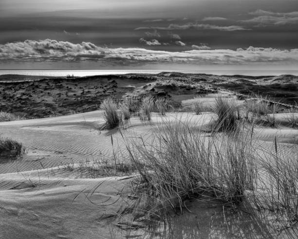 istock The Parnidis dune. The Curonian lagoon and Curonian spit 1403202042
