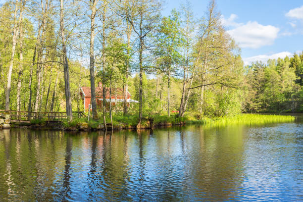istock Lake in the forest with a red cottage 1403203471