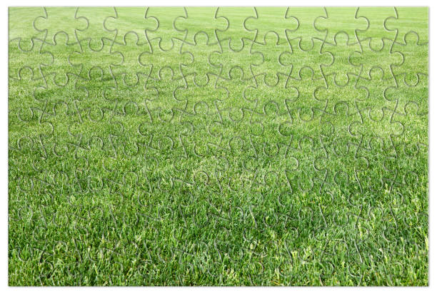 istock Beautiful green mowed lawn in puzzle shape on white background 1403203638