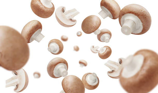 istock Flying champignon mushrooms on white 1403203858