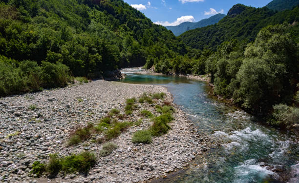 istock Mountain river in the canyon, Montenegro 1403204198