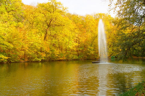 Autumn lake landscape view,  fountain and yellow trees, Sofievka park, Uman, Ukraine
