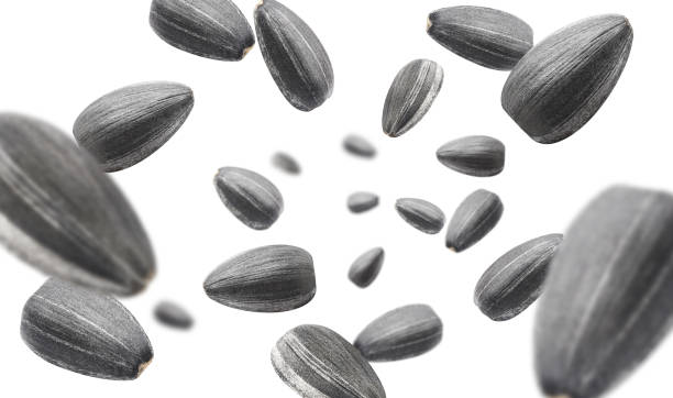 istock Black sunflower seeds on white 1403206473