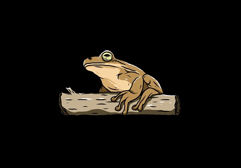 Illustration design of a big frog perched on a log