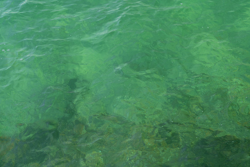 Water surface, green sea clean transparent texture background