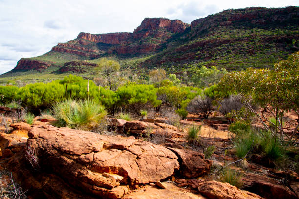 istock Ikara-Flinders Ranges National Park 1403216446