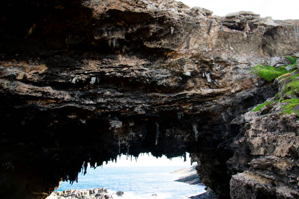 istock Admirals Arch - Kangaroo Island 1403216997