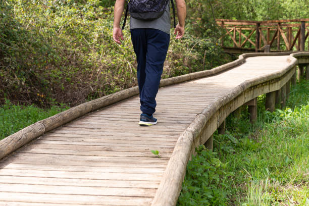 One sunny day a man is walking along a hiking trail in nature, he is crossing a wooden footbridge.