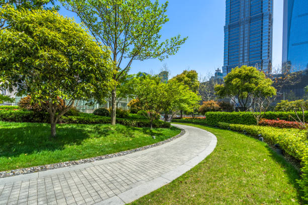 istock Modern Offices,Park Place,shanghai 1403219095
