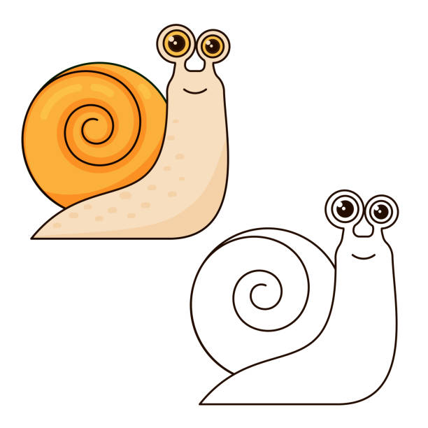 1,099 Slugs And Snails Drawing Stock Photos, Pictures & Royalty-Free Images - iStock 1,099 Slugs And Snails Drawing Stock Photos, Pictures & Royalty-Free Images - iStock