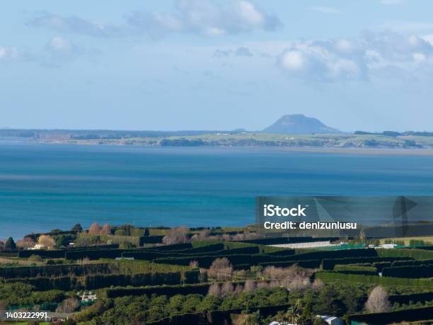 New Zealand Aerial Coastline Stock Photo - Download Image Now - Aerial View, Directly Above, Landscape - Scenery