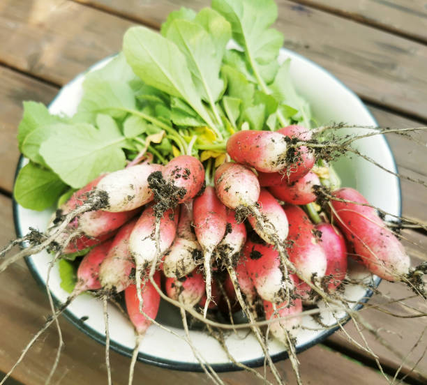 istock Organic food 1403223806