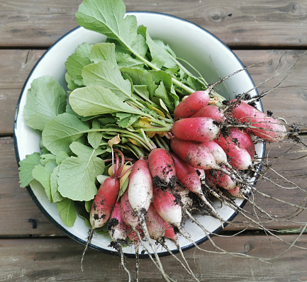 Fresh radish on a table