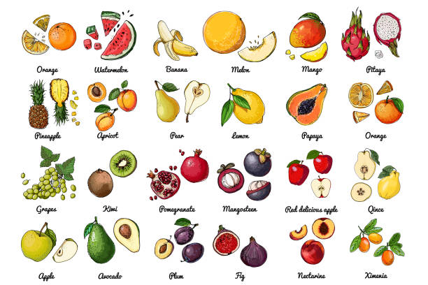 Food vector Exotic fruits, orange, lemon, apple, berries Food vector Exotic fruits, orange, lemon, apple, berries strawberry salad stock illustrations