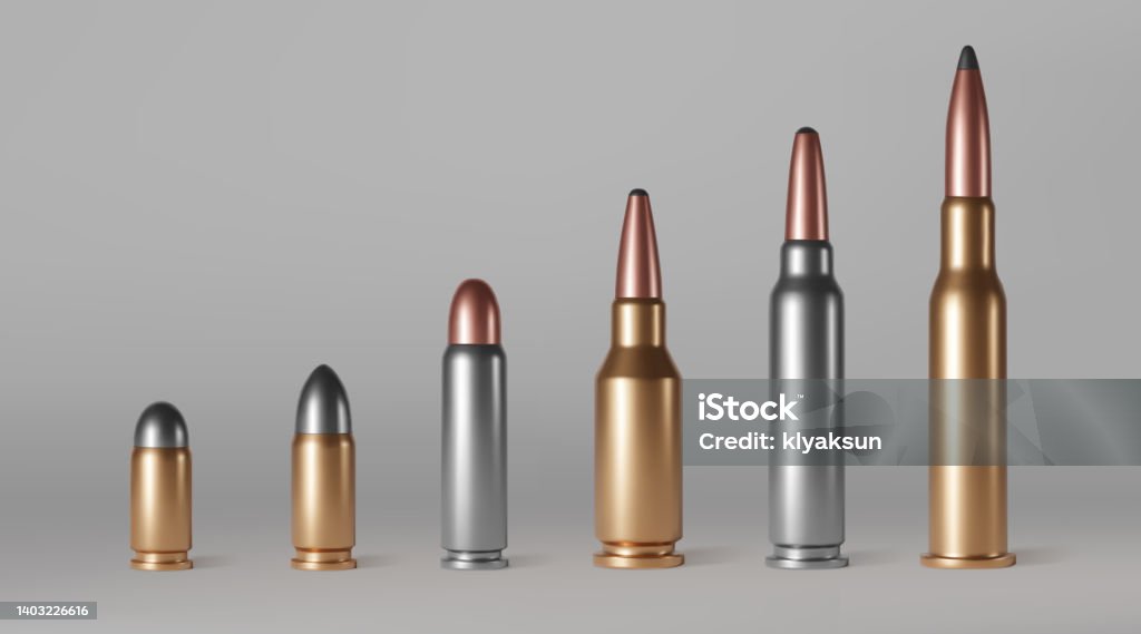 Comparing Bullets Bullets Of Different Calibers Stand In Row Stock Illustration ...