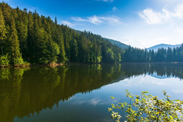 istock tranquil landscape with lake in summer 1403227895