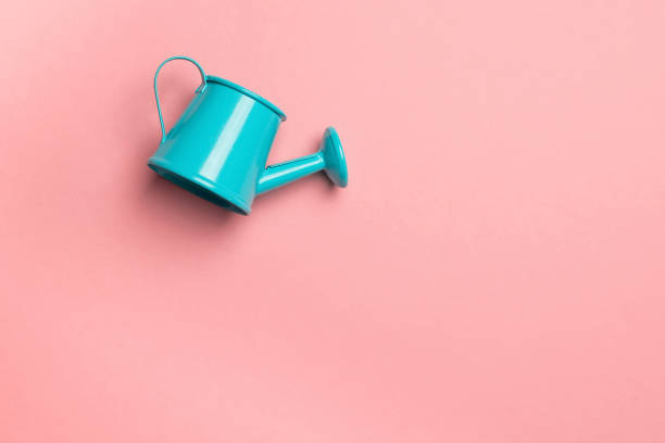 istock Blue watering can on a pink background. Minimalistic summer concept. 1403230076
