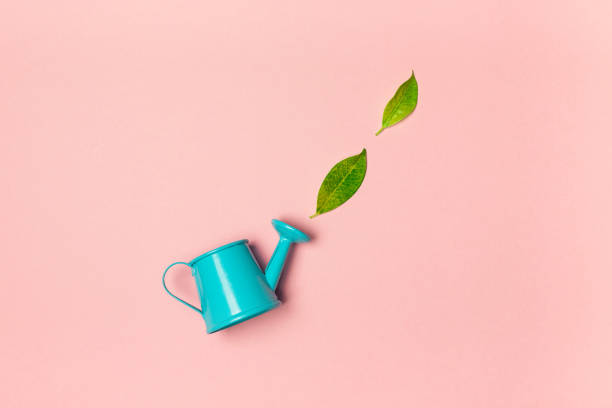 istock Blue watering can waters green leaves on a pink background. Summer concept. 1403230096