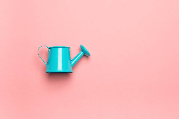 istock Blue watering can on a pink background. Minimalistic summer concept. 1403230112