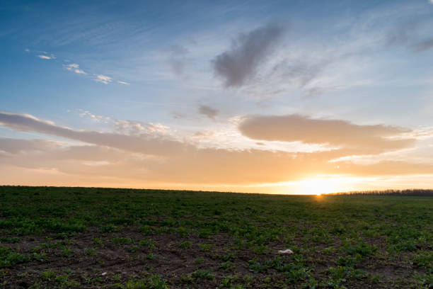istock A scenic winter sunset over a large meadow. 1403231301