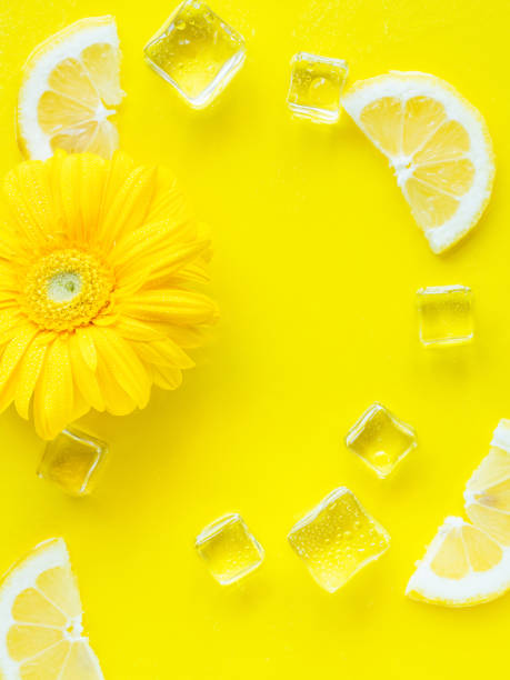 istock Vibrant yellow lemon citrus slice background with ice cubes, flowers 1403233362