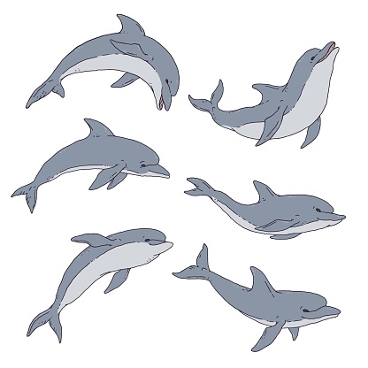 Dolphin set. Jumping playful aquatic animal contour line doodle vector Illustration